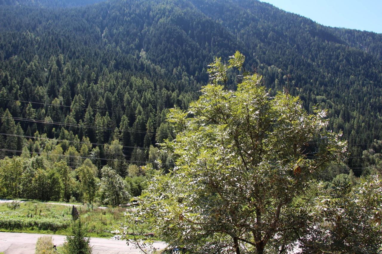 Chalet Tioli Montvalezan Dış mekan fotoğraf