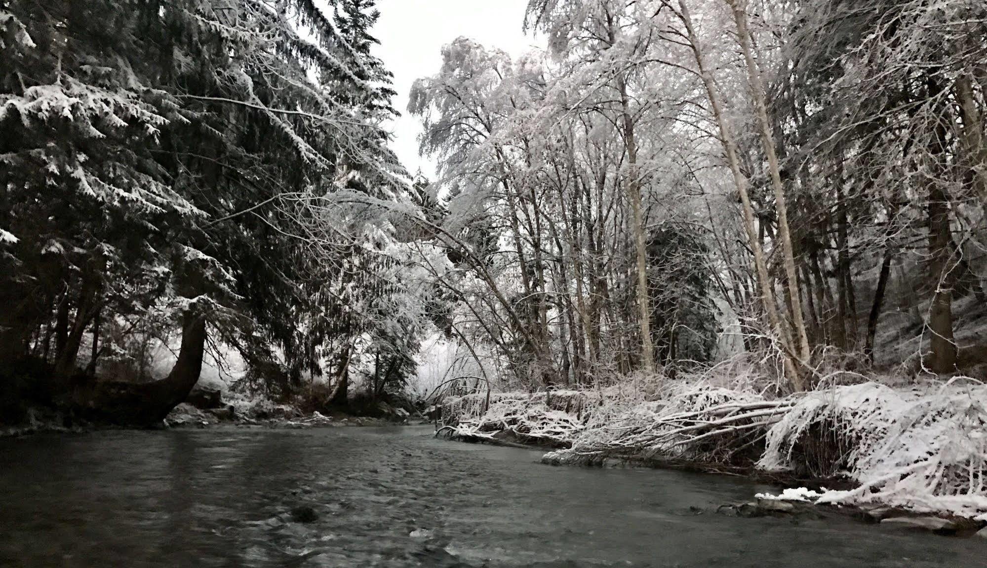 Chalet Tioli Montvalezan Dış mekan fotoğraf