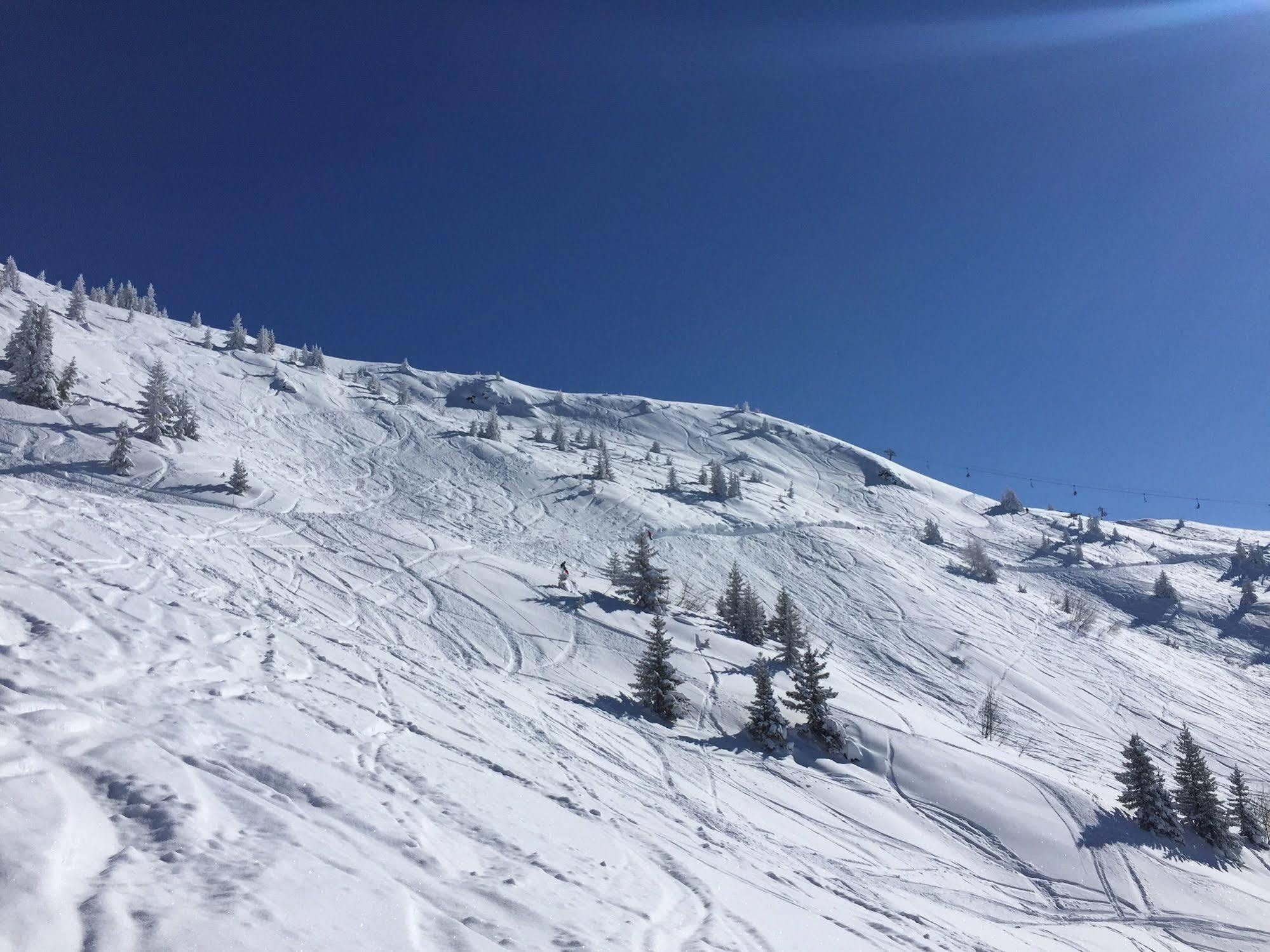 Chalet Tioli Montvalezan Dış mekan fotoğraf